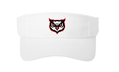 Agua Fria Owl RacerMesh Visor