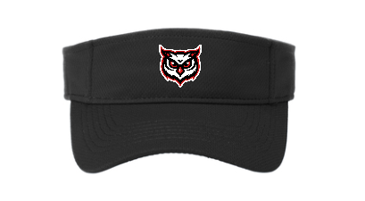 Agua Fria Owl RacerMesh Visor