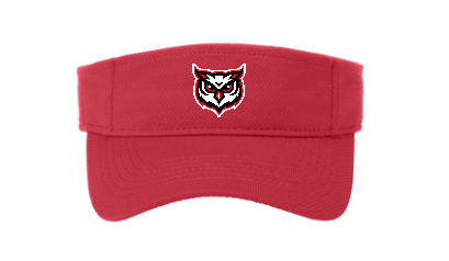 Agua Fria Owl RacerMesh Visor